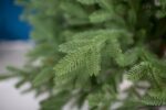 Ель искусственная «Берген» Люкс 2,1 м — изображение 8