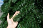 Ель уличная "Русская" высота 29 м — изображение 10